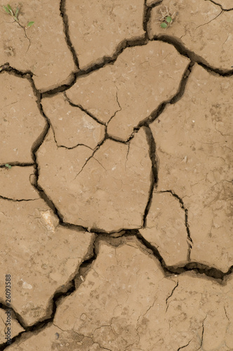 Cracks on ground induced by dry weather