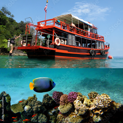 Diver and coral reef