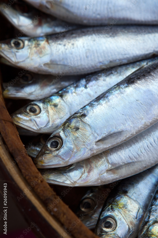 Fresh salt water Sardines stacked on top of each other Fresh salt water Sardines stacked on top of each other