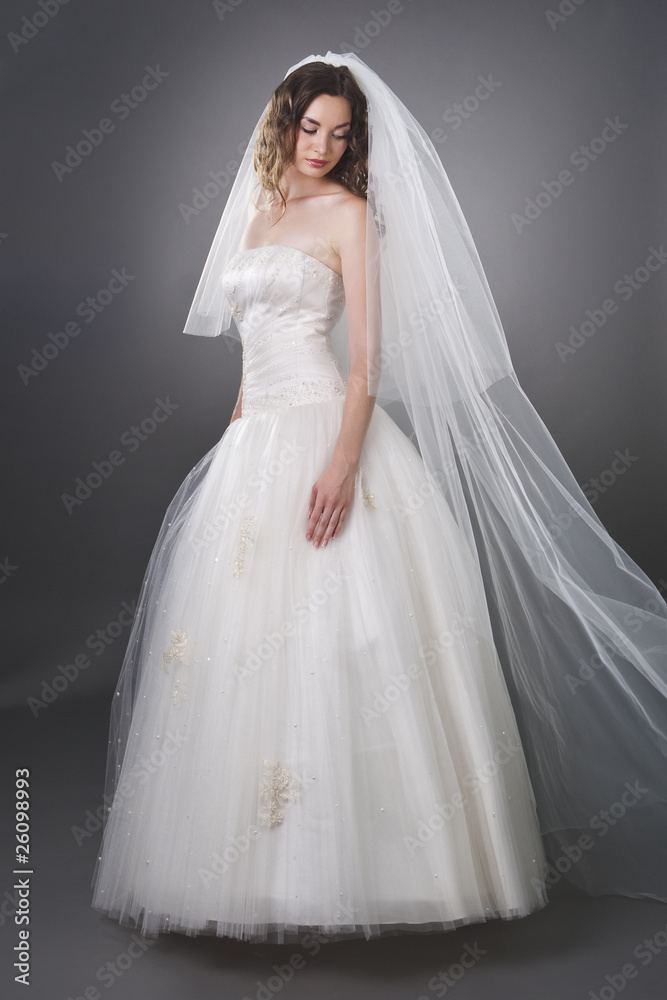 romantic bride in the veil and wedding dress romantic bride in the veil and wedding dress