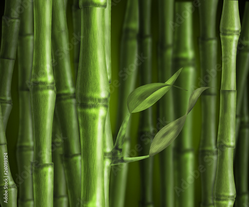 Fototapeta Naklejka Na Ścianę i Meble -  awesome green stalks of bamboo in a bamboo forest