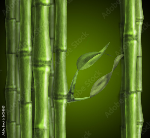 Fototapeta Naklejka Na Ścianę i Meble -  awesome green stalks of bamboo on a green round gradient