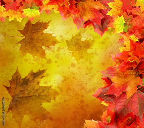 fall vintage background