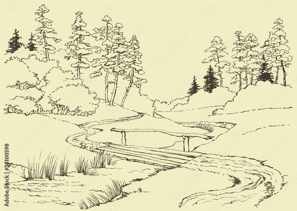 Fototapeta premium Forest landscape with stream