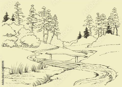Forest landscape with stream