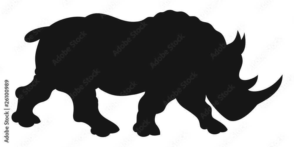 rhinocerosr rhinocerosr