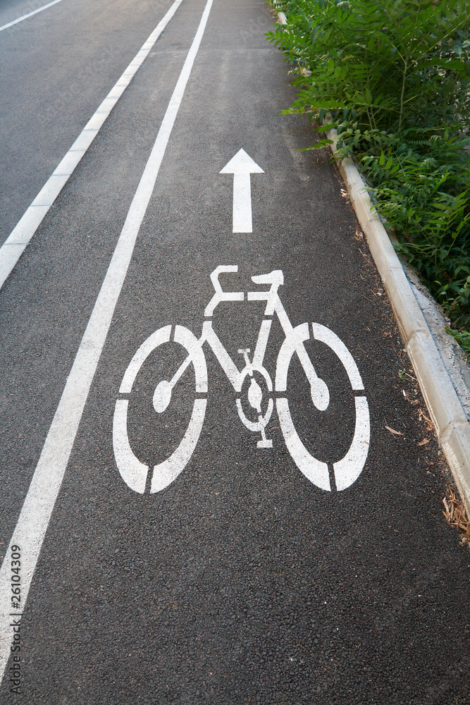 Bicycle road sign painted on the pavement