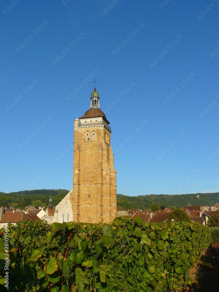 Fototapeta premium Arbois