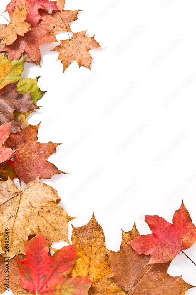 Autumn frame Autumn frame