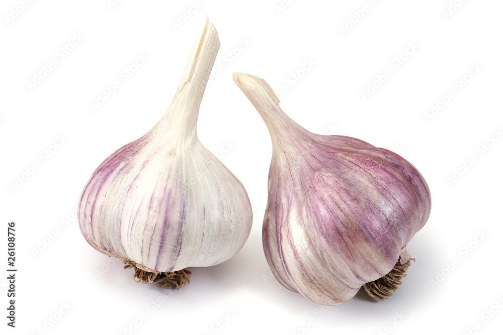 Fototapeta premium Garlic on a white background