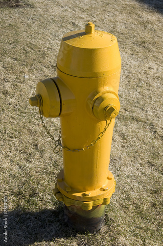 Yellow Fire Hydrant