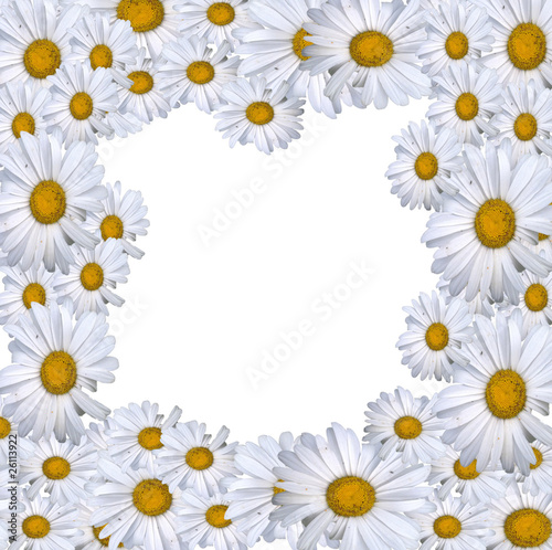 daisy frame © timbookta