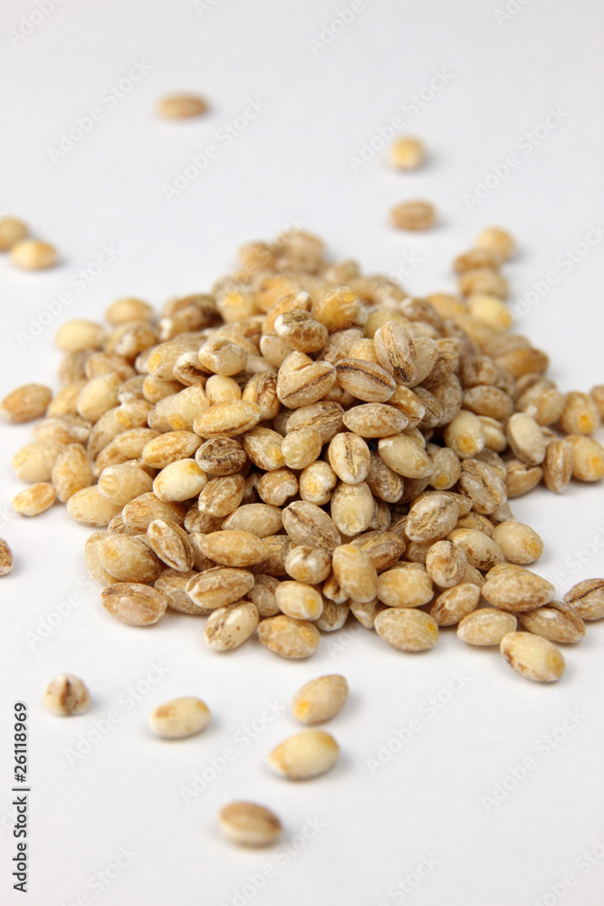 Orge perlé, pearl barley