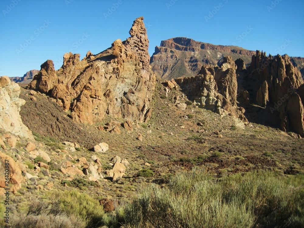 Fototapeta premium Teneriffe - Teide national park