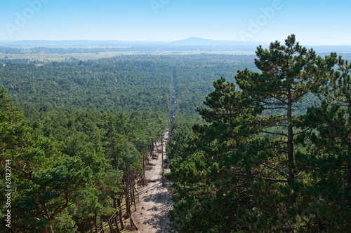Slowinski National Park aerial view photo