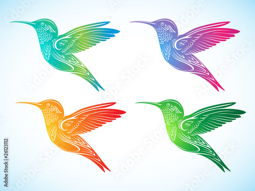 colorful hummingbird