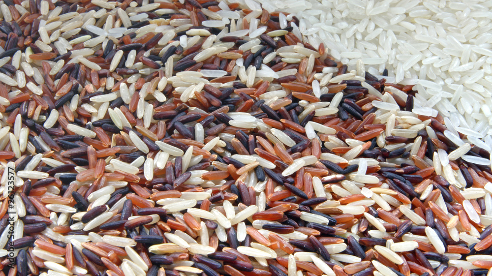 Thai Red Jasmine and White Jasmine rice, Background Thai Red Jasmine and White Jasmine rice, Background