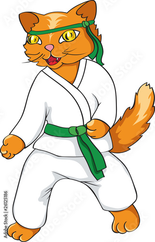 ninja cat