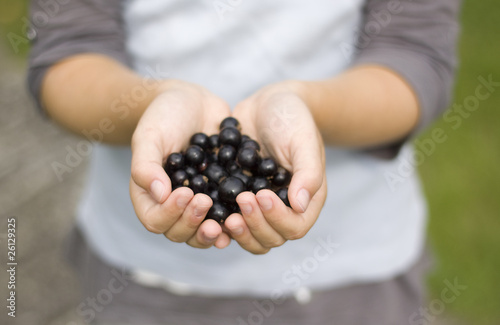 Hands holding out berries