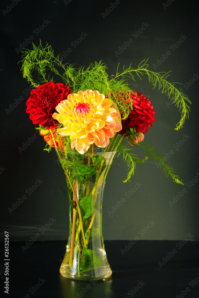 Dahlias in the Vase on the black Background