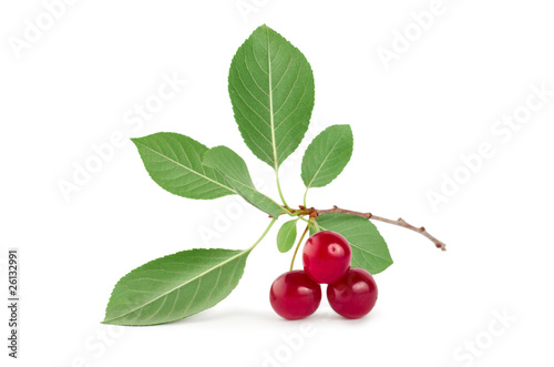 Three ripe cherries isolated