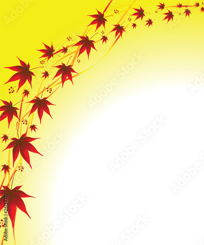 autumn background  leaves