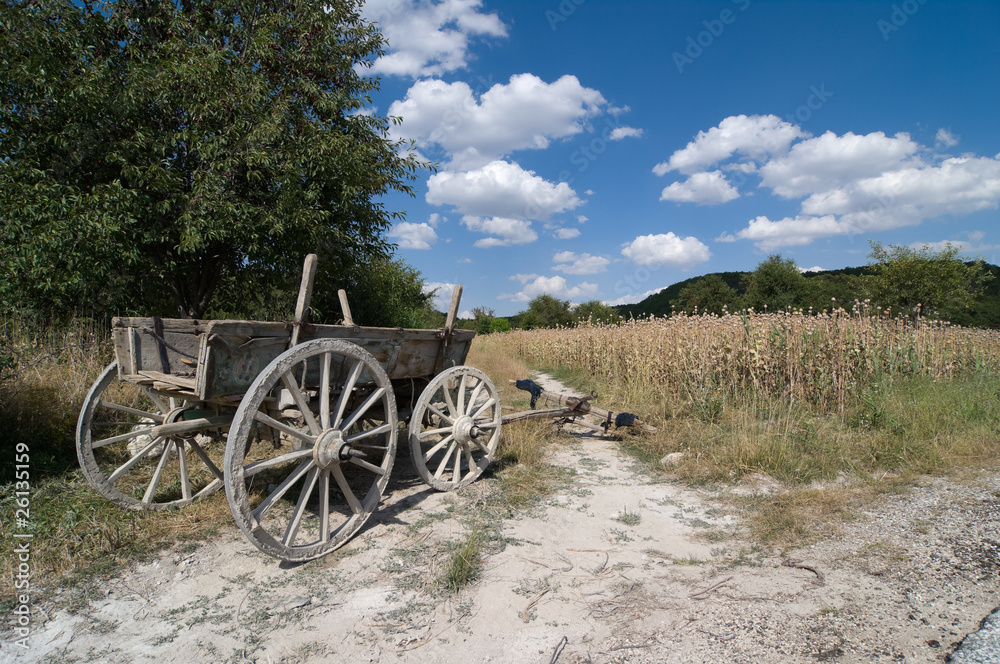 Obraz premium Old Cart Wooden In A Rural Scene