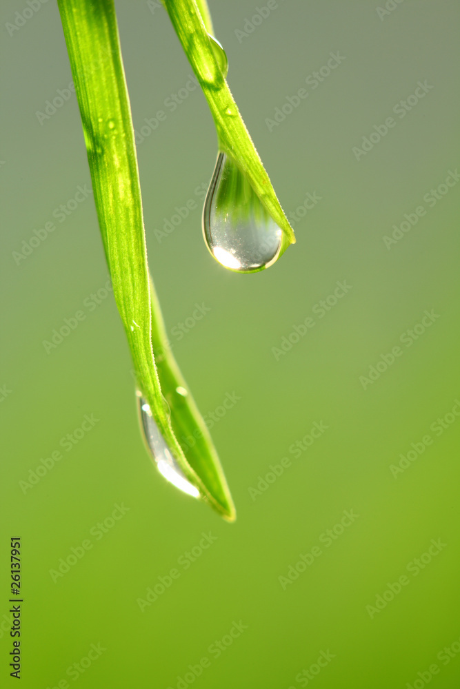 big water drop