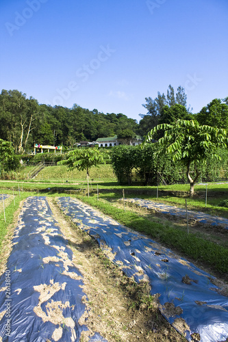farmland and house in the nature © Cozyta