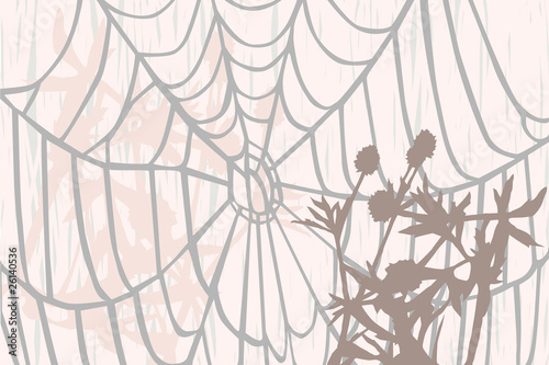 spider's thread