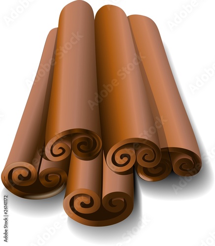 Cannella-Cinnamon-Vector