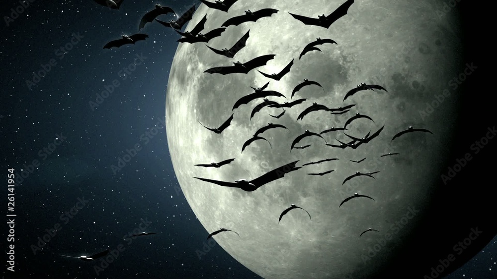 Halloween,  a flight of bat with the  moon on background