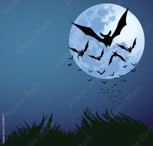 halloween night