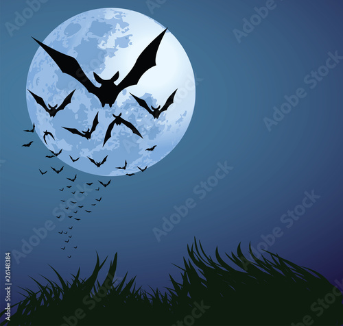 halloween night