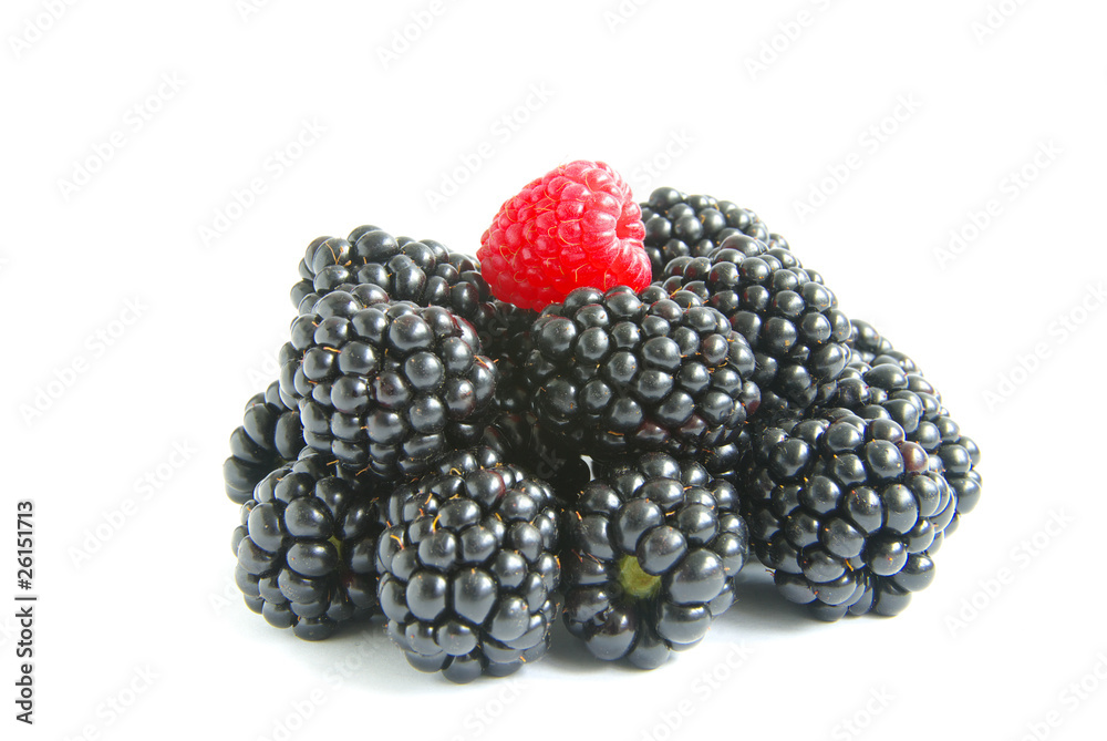 blackberry and raspberry blackberry and raspberry