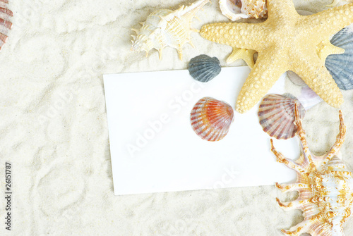 shells