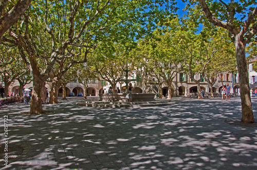 piazza alberata
