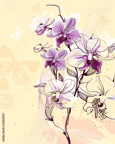 tender twig blossoming orchids on a light background with butter #26158537