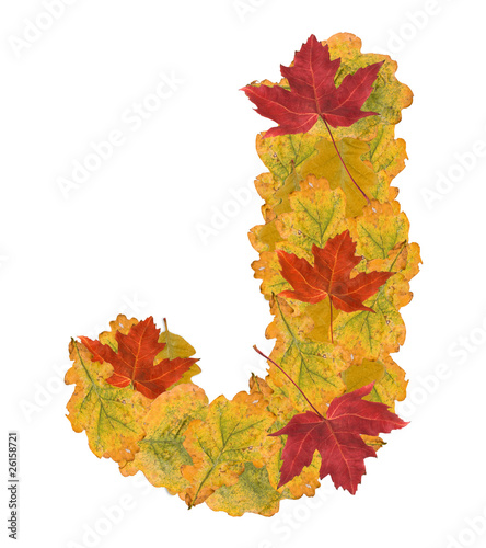 autumn leaves letter