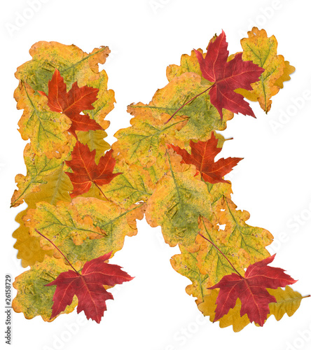 autumn leaves letter