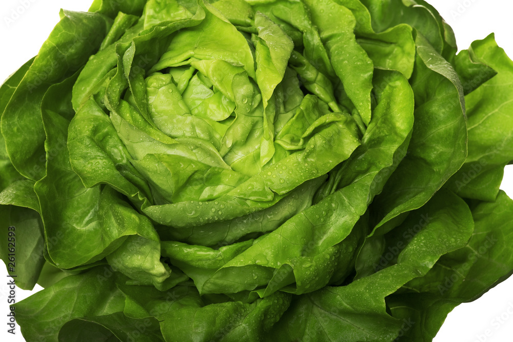 Salat Salat