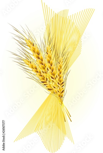 Pasta con Spighe di Grano-Corn and  Spaghetti-Vector