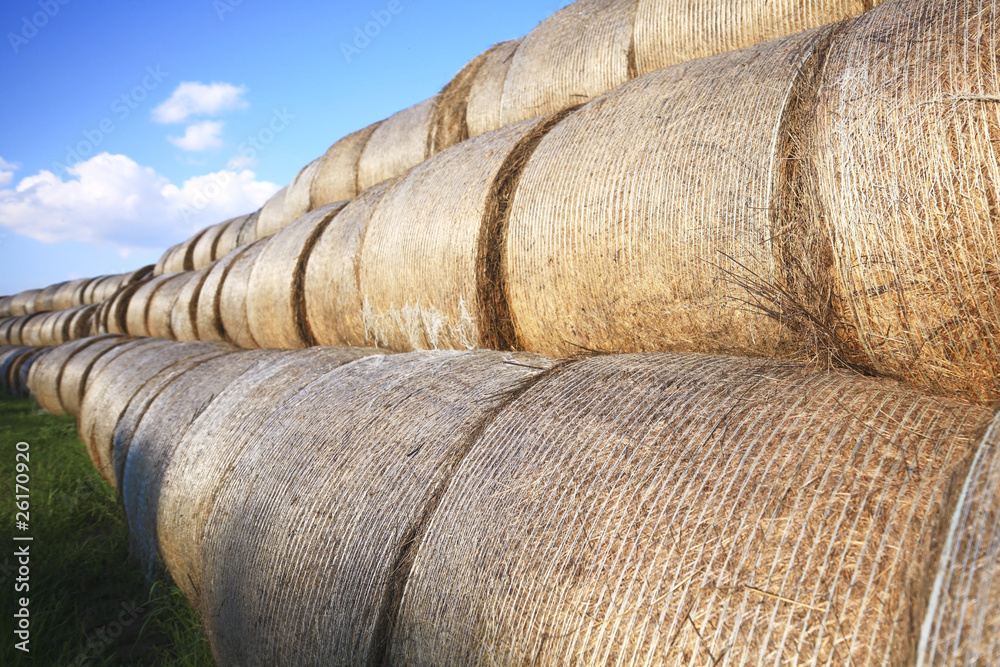Bales of hay stacked up high Bales of hay stacked up high