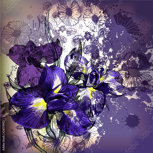blossoming hand-draw iris on a lacy background