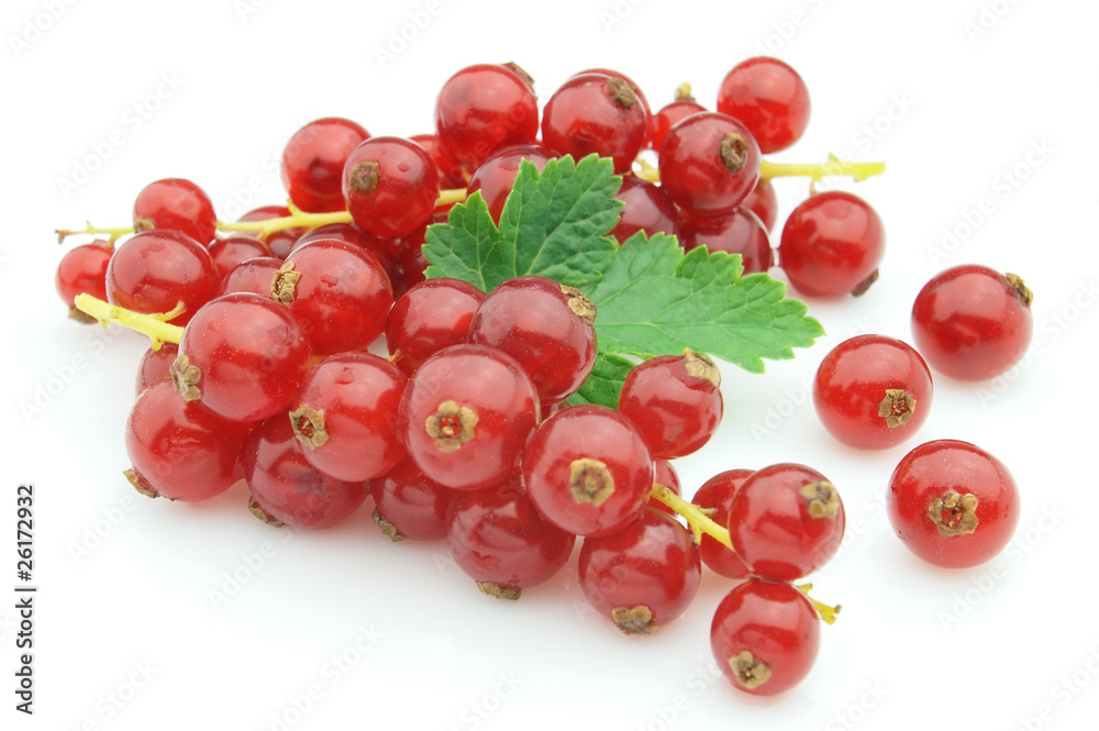 Currant Currant