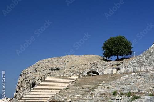 Tree in Efes. Turkey