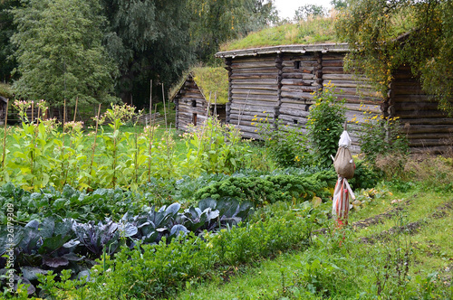 Orto spaventapasseri - edificio tipico scandinavia