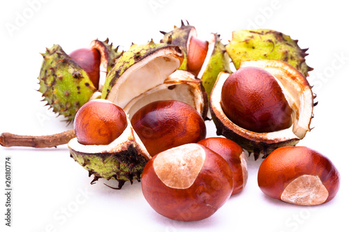 Chestnuts with open husk