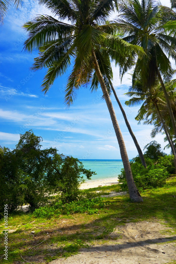 Obraz premium tropical beach