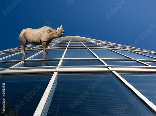 Rhino standung on skyscraper windows